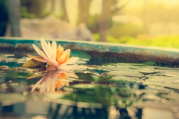 This Major Obstacle to Your Success Isn't Even Yours!