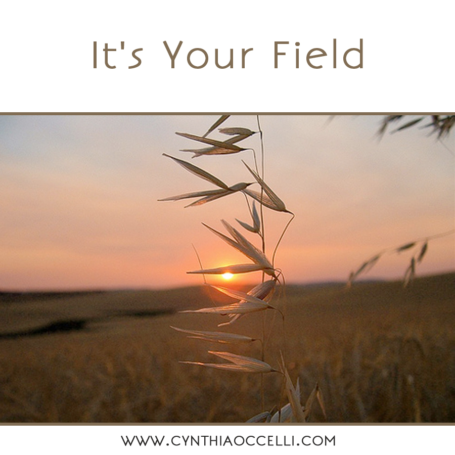 It’s Your Field
