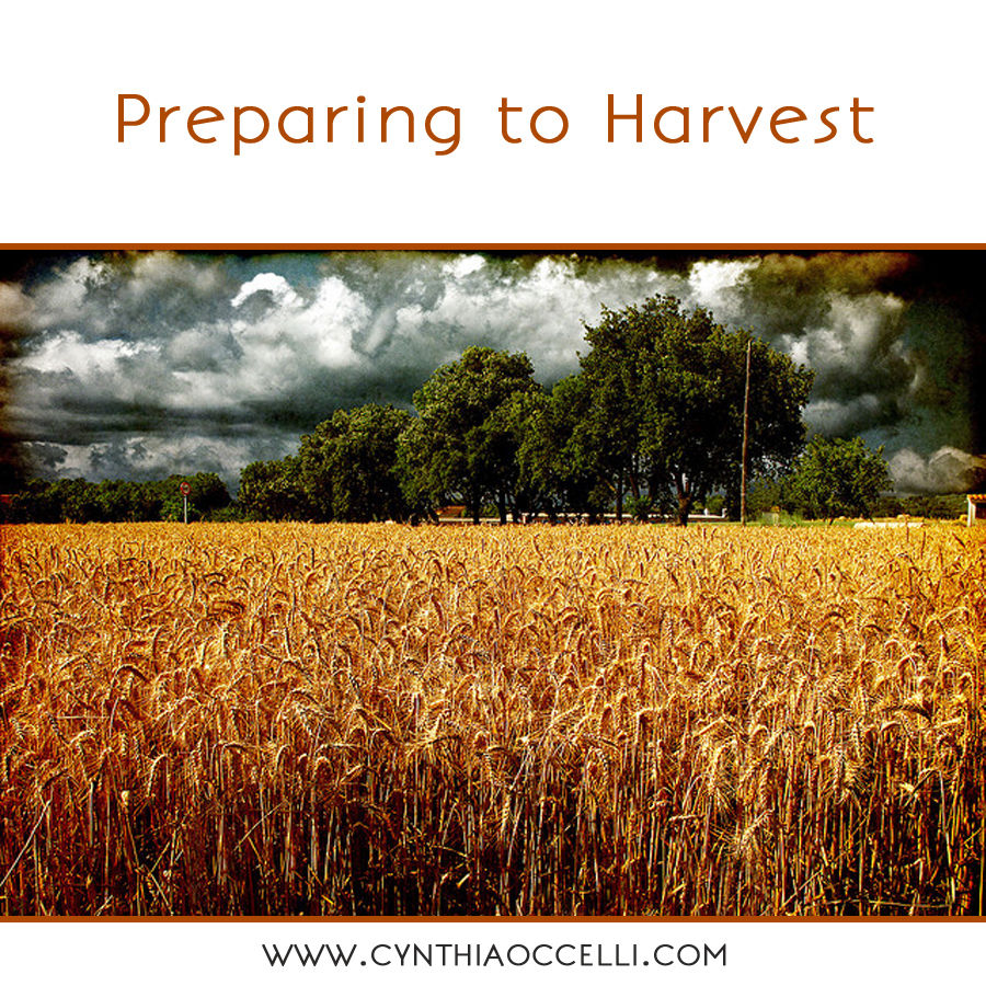 Preparing to Harvest