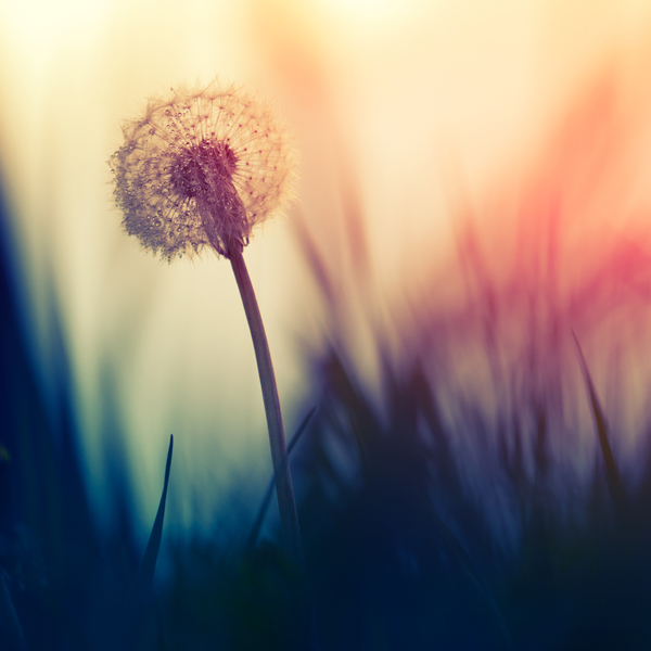 Prevailing over the Shadows