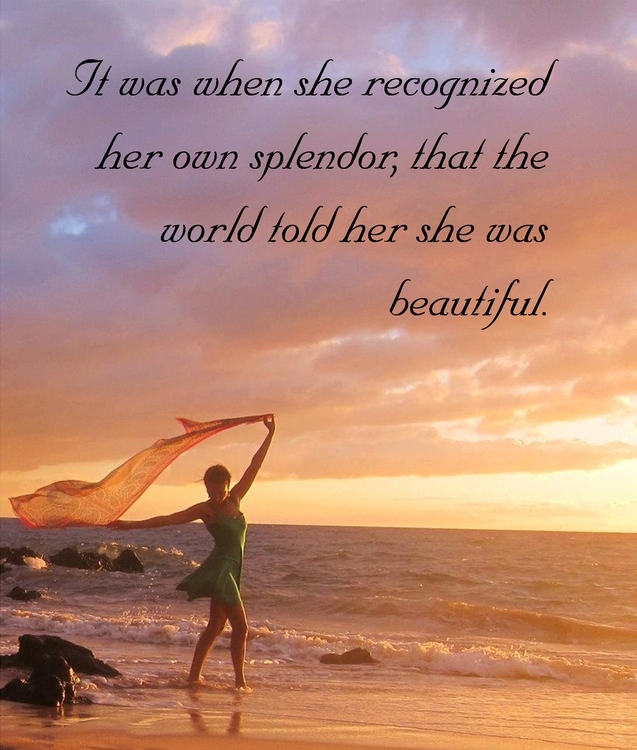 Meredith R Splendor