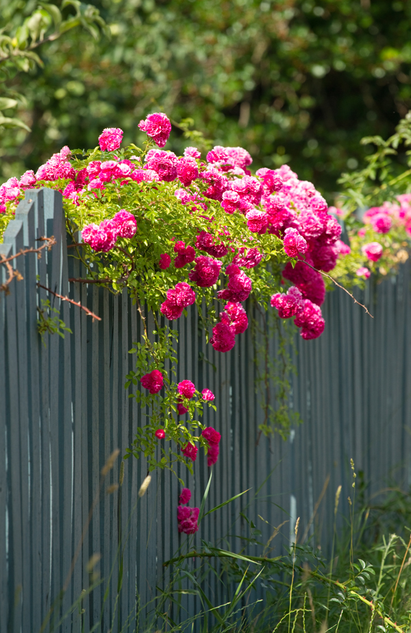 The life transforming power of setting boundaries