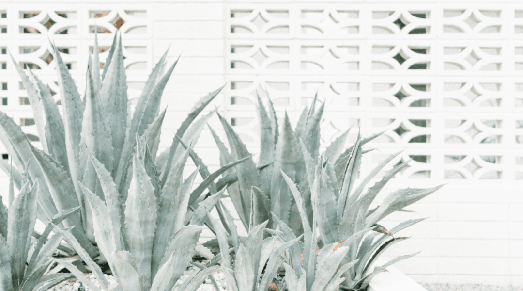 10 Tips for Setting Healthy Boundaries