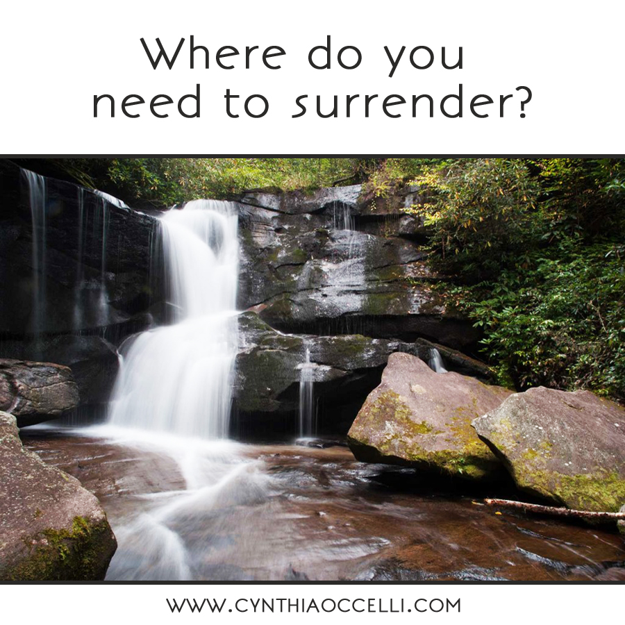 Where do you need to surrender?