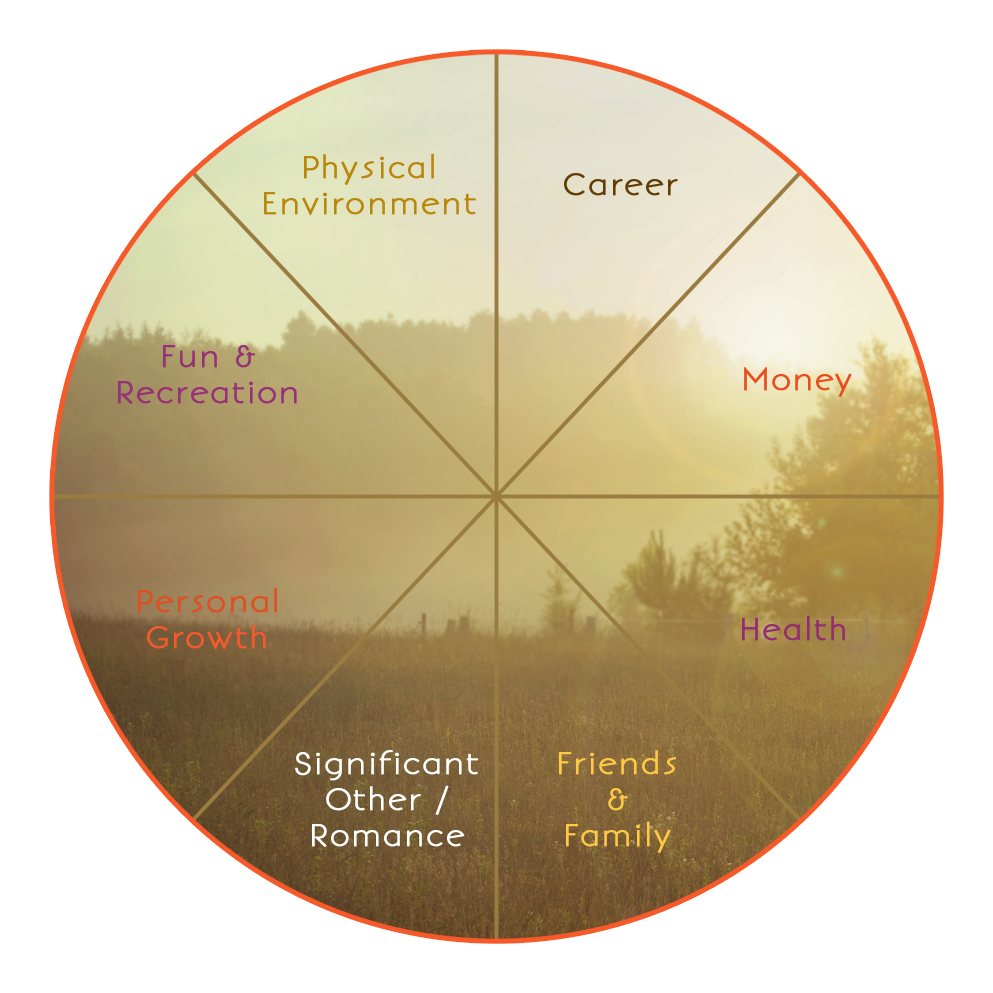 Satisfaction Wheel