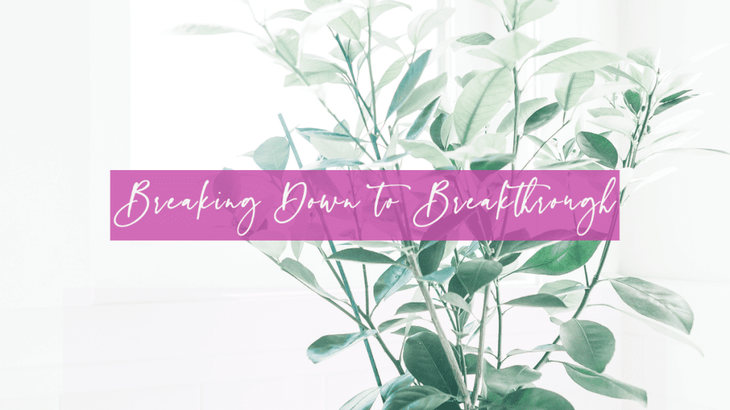 Life 82: Breaking Down to Breakthrough